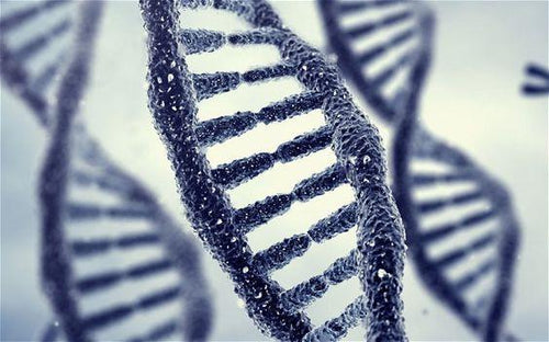 Waar kan jouw DNA tegenwoordig voor gebruikt worden?